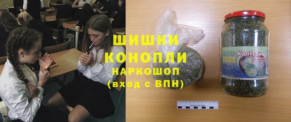 амф Вяземский