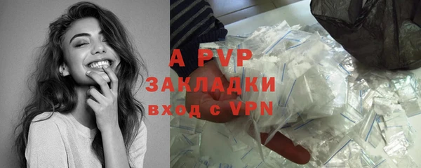 стаф Володарск