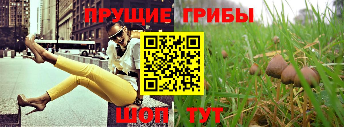 даркнет сайт  Галлюциногенные грибы Cubensis  Вход с VPN  Мариинск 